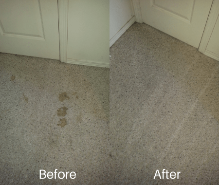 Before after pet stain